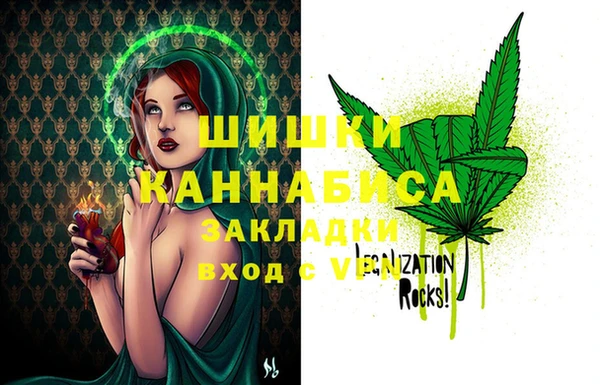 Альфа ПВП Новозыбков
