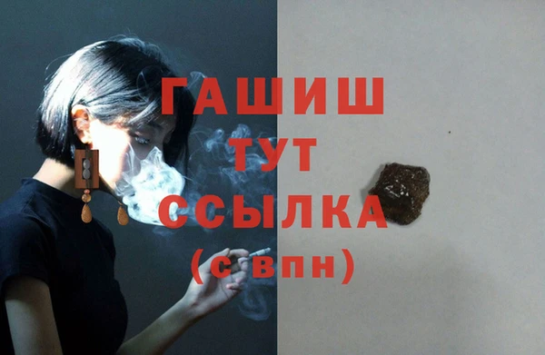 Альфа ПВП Новозыбков