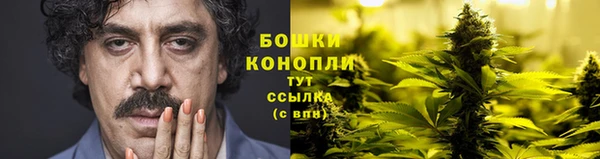 Альфа ПВП Новозыбков
